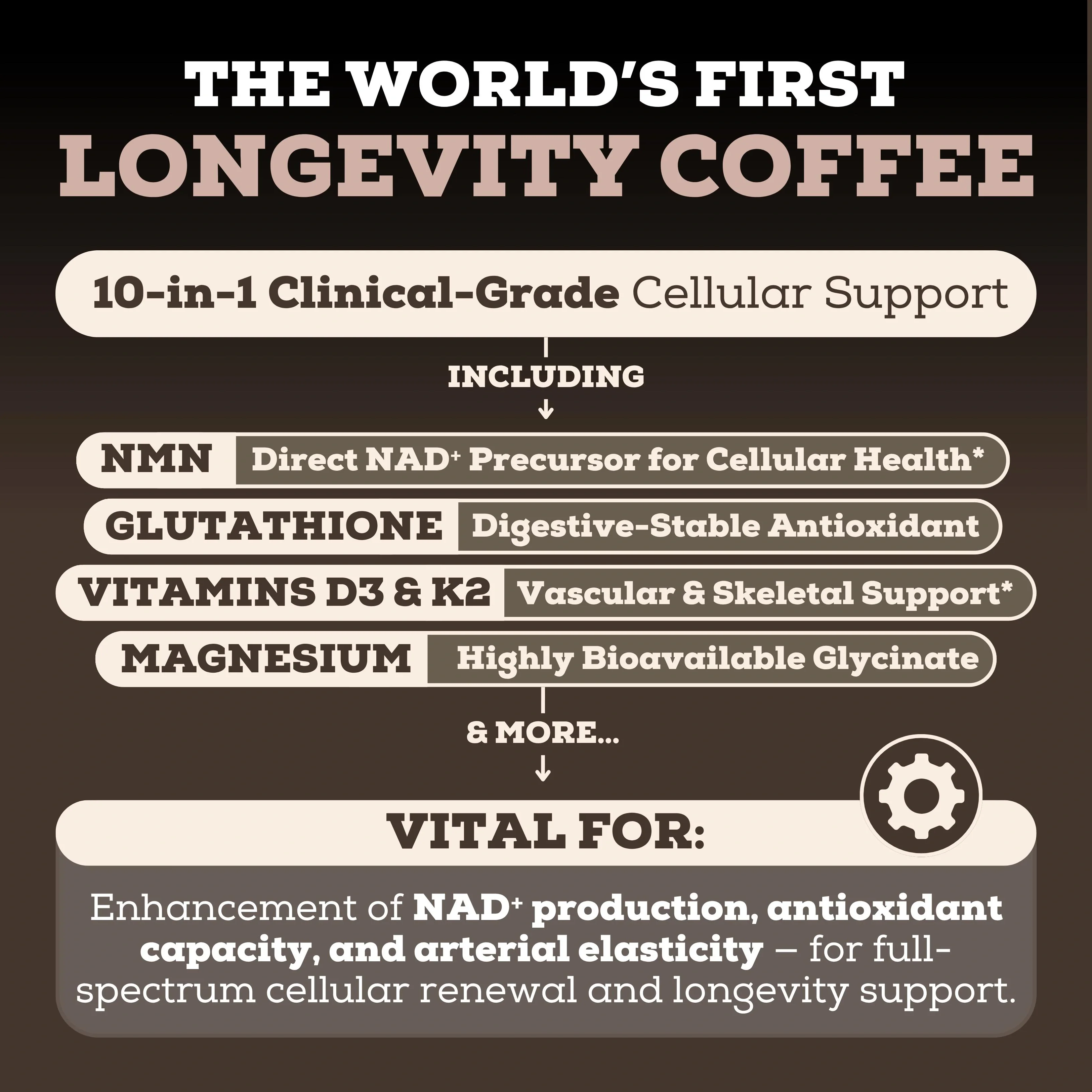 Longevity Coffee (10-In-1) - Image 2