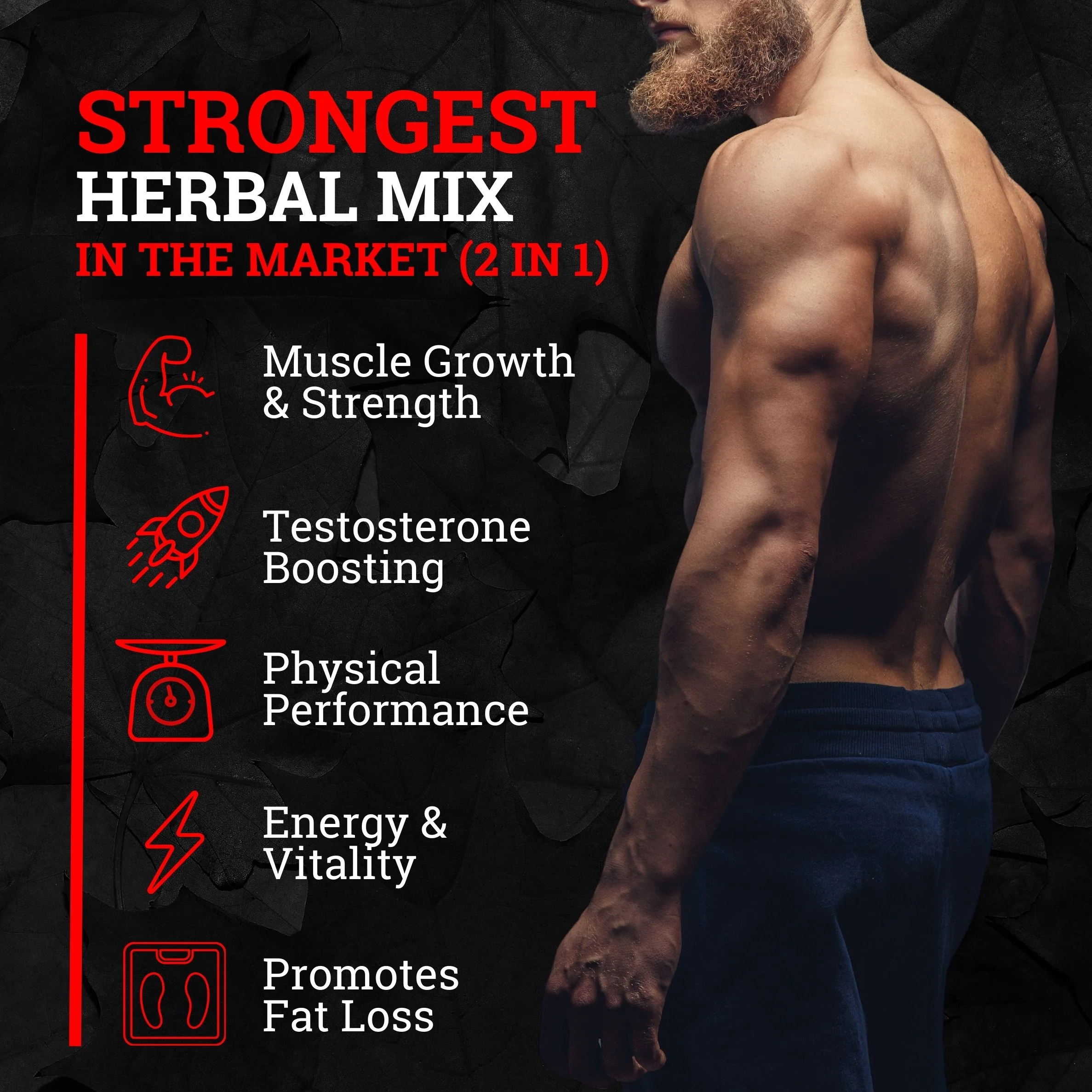 Turkesterone & Tongkat Ali (2 Month Supply) - Image 3
