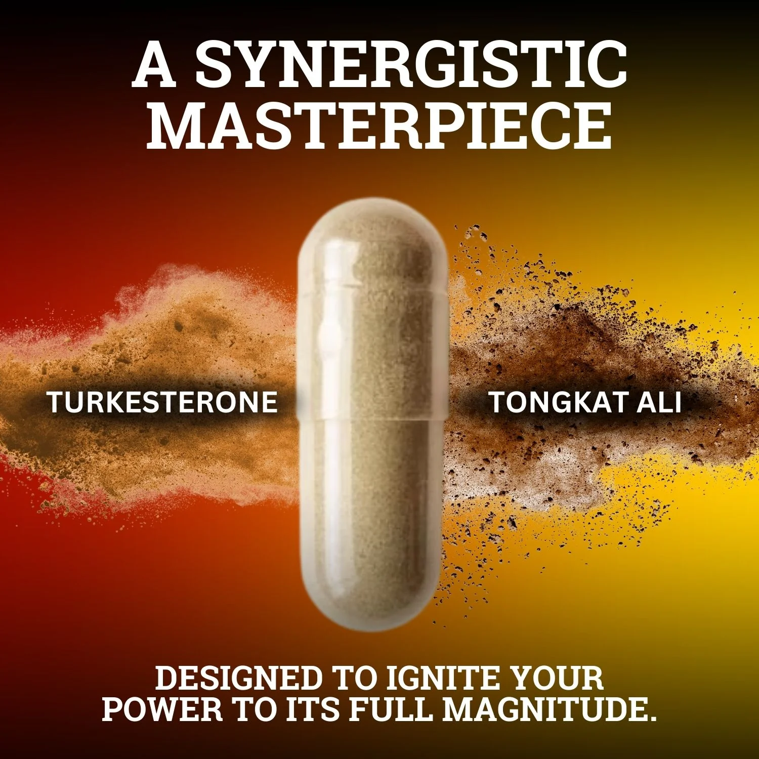 Turkesterone & Tongkat Ali (2 Month Supply) - Image 5